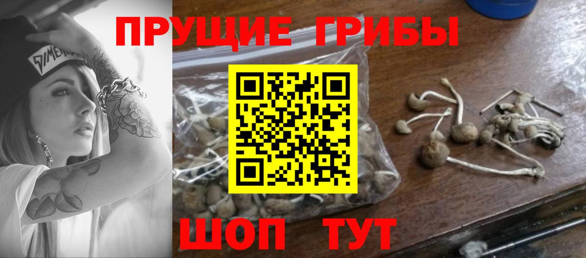 Псилоцибиновые грибы мухоморы Михайловка